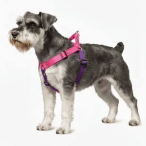 Pechera para Perro Individual