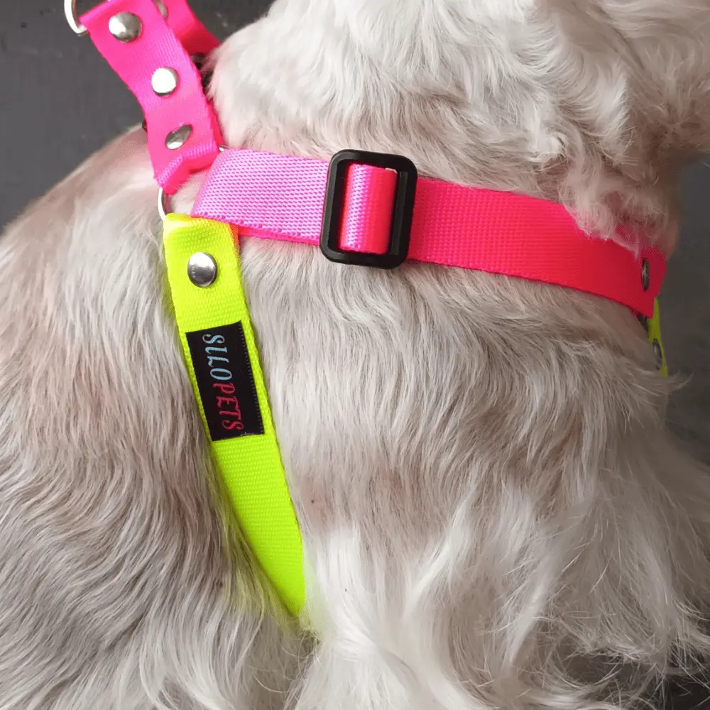 Acercamiento de pechera silopets fucsia y neón mostrando de cerca el tipo de cinta